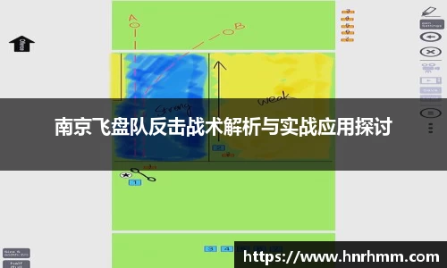 南京飞盘队反击战术解析与实战应用探讨